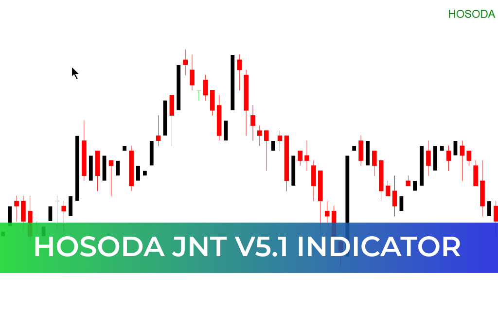Hosoda JNT V5.1 Indicator