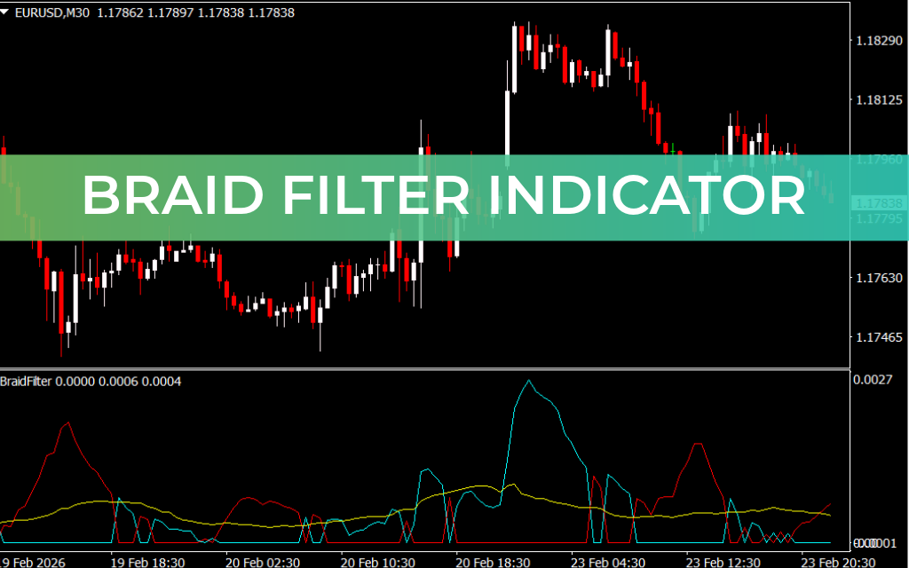 Braid Filter Indicator
