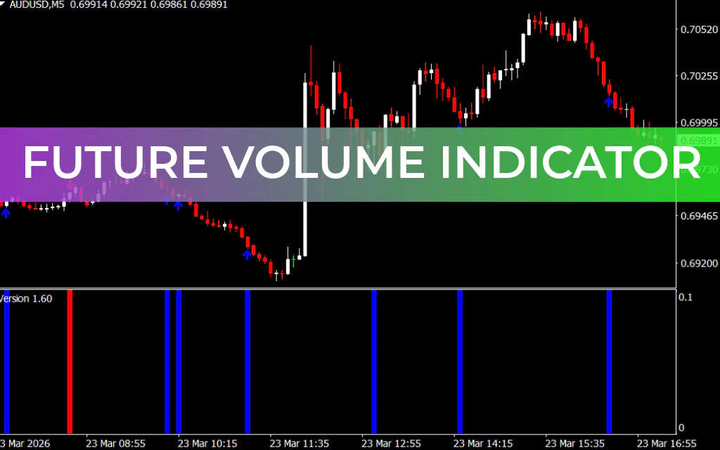 Future Volume Indicator
