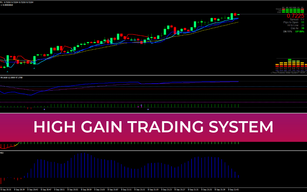 High Gain Trading System